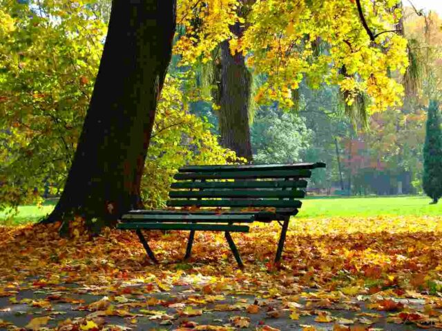 Canada’s Housing Crisis Amid Immigration Surge – What Newcomers Need to Know