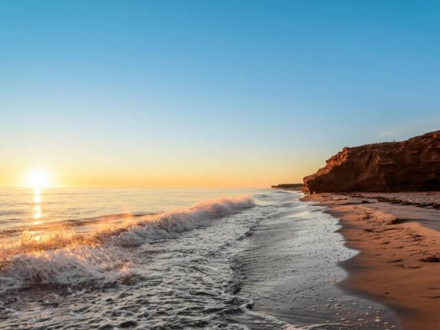 Prince Edward Island designates new employers for the Atlantic Immigration Program