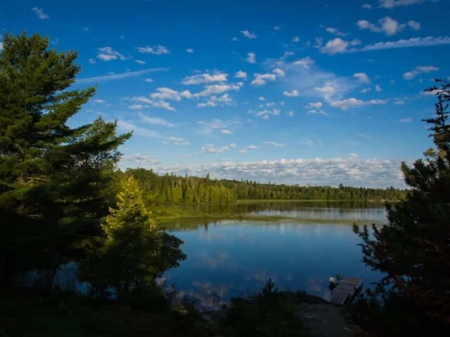 First set of designated employers announced for Canada’s RCIP and FCIP permanent residence pathways