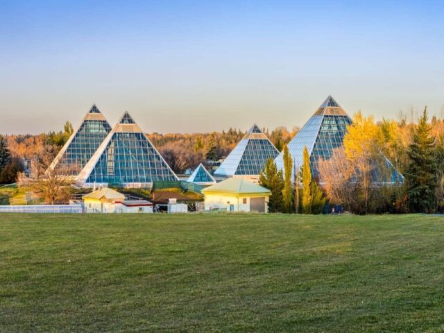 Alberta holds five provincial immigration draws