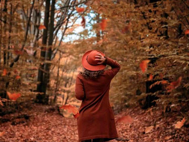 Canada’s Rising Reliance on Low-Wage Migrant Workers