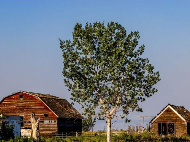 Claresholm announces RCIP designated employers and reveals who’s hiring now