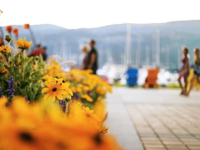 British Columbia issues invitations under entrepreneur streams