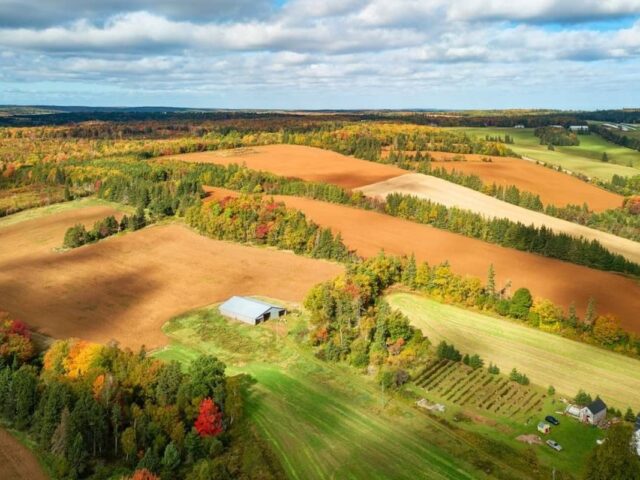 Prince Edward Island extends invitations to provincial immigration candidates