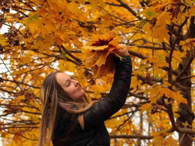 Prince Edward Island Invites 52 Skilled Workers and Entrepreneurs in the Latest PNP Draw