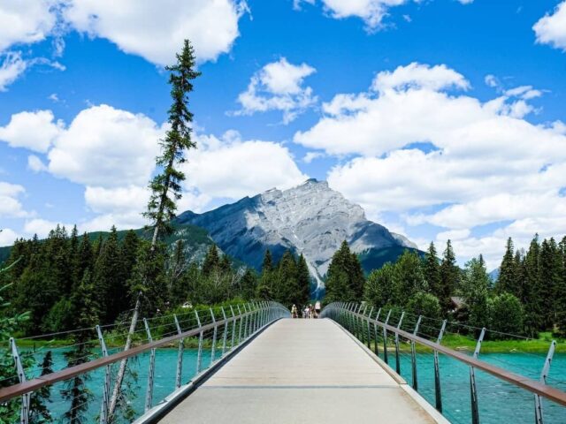 July 2025: State of the Express Entry pool